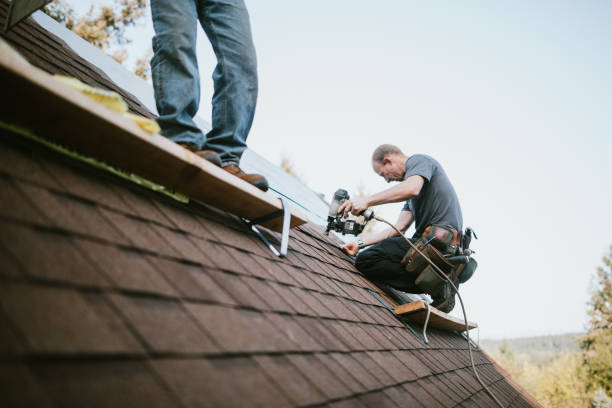 Roof Gutter Cleaning in Ballville, OH